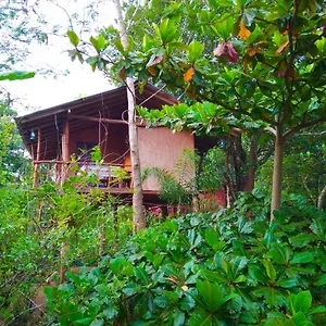Akash Treehouse Homestay Sigiriya